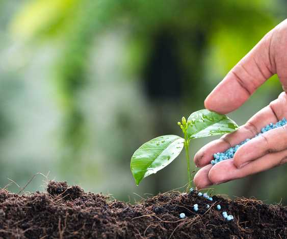 Organomineral Katı Gübre 3